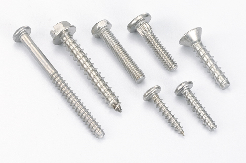 Stainless Steel Screws